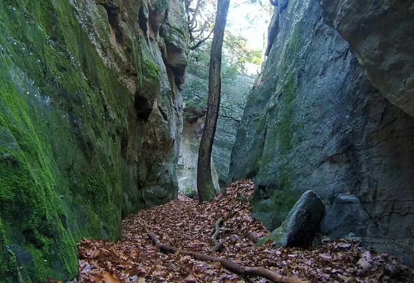 ベッドアンドブレックファースト River House Lodge