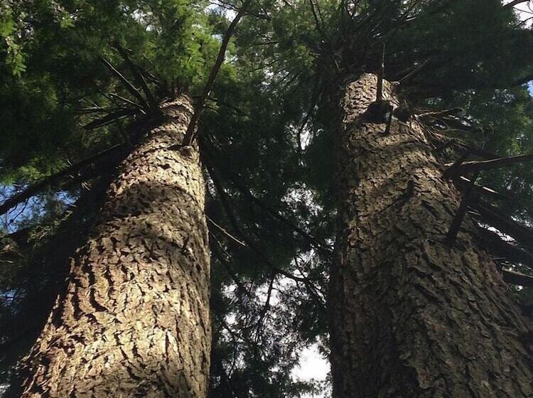 민박 River House Lodge