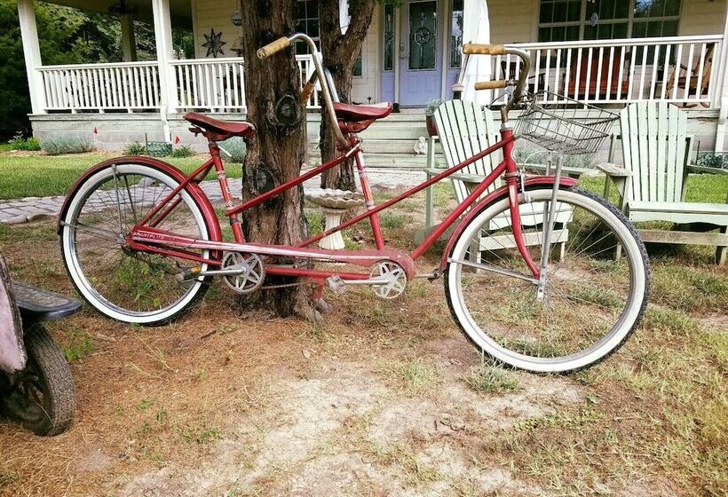 ベッドアンドブレックファースト Savannah S Meadow