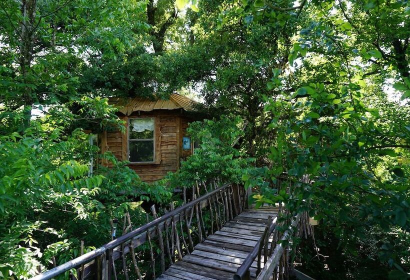 مبيت وإفطار Savannah S Meadow