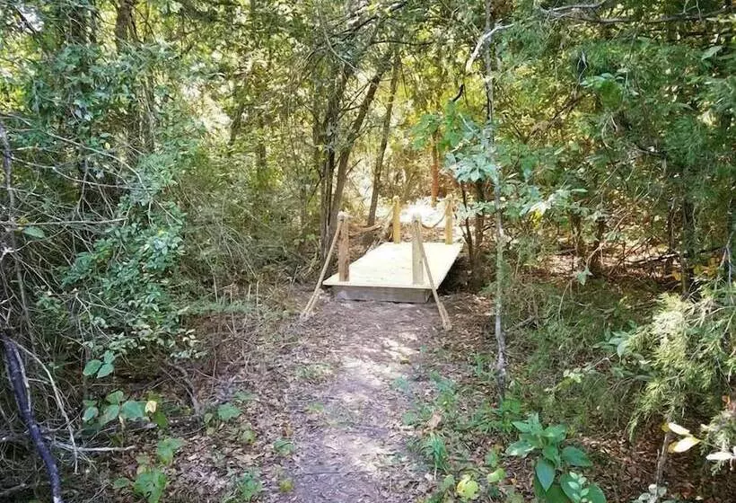 Aamiaismajoitus (B&B) Savannah S Meadow