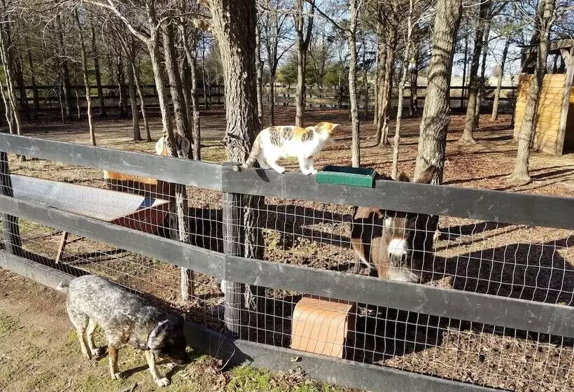 Aamiaismajoitus (B&B) Savannah S Meadow