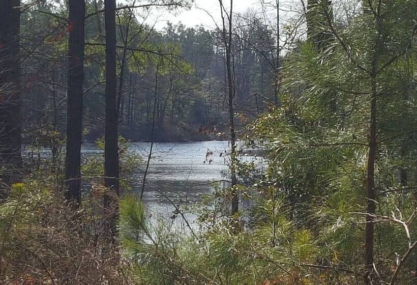 ベッドアンドブレックファースト Temple In The Woods