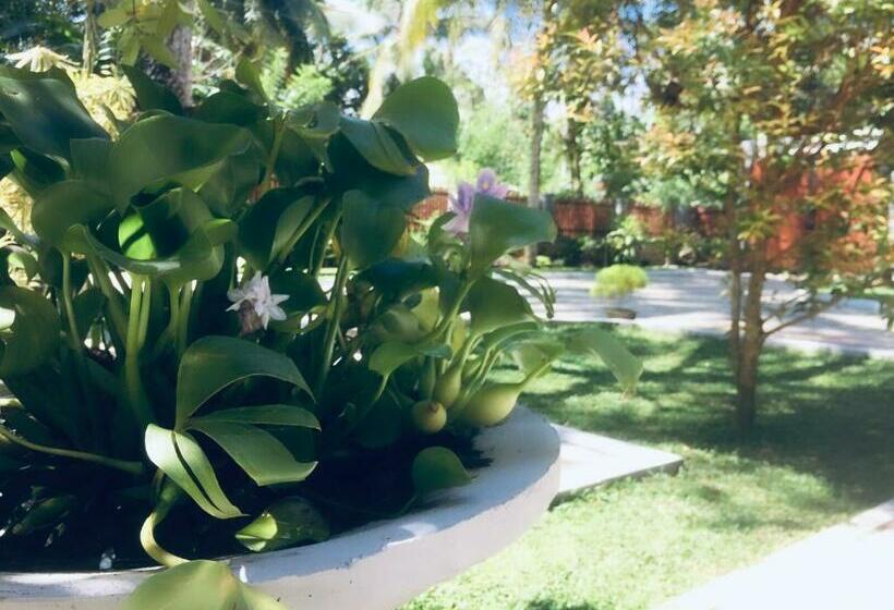 膳宿费 Casa Blanca