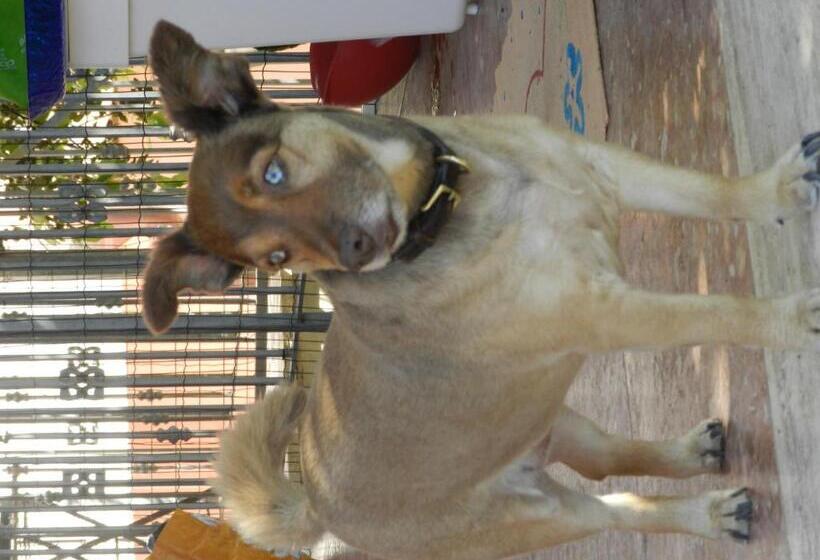 Residence Villa Hedy