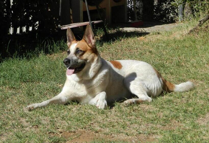 Residence Villa Hedy