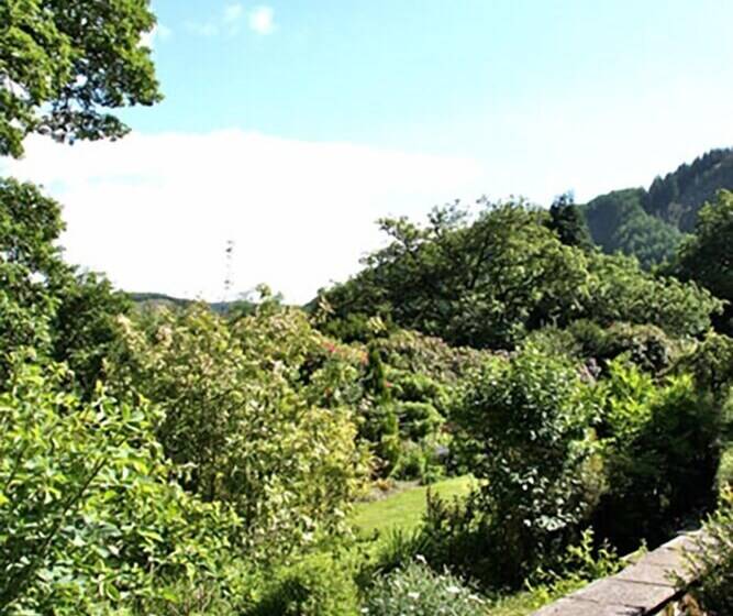 Cwm Irfon Lodge Cottages
