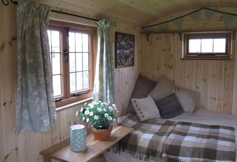 田舎風ホテル Marshwood Farm B&b And Shepherds Hut