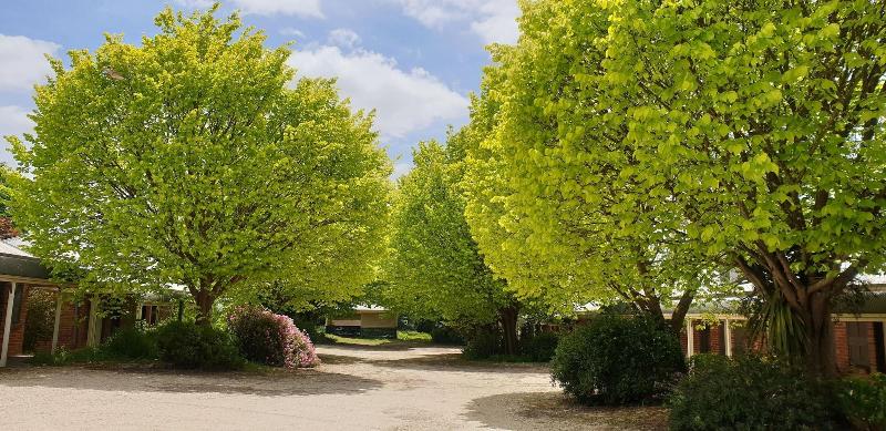 Motel The Lancefield Lodge