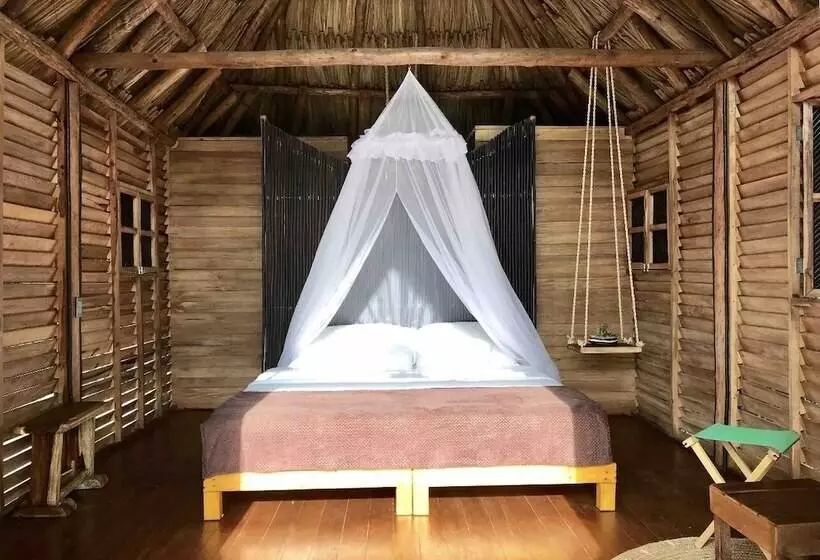 ホテル Casa Gaia Palomino