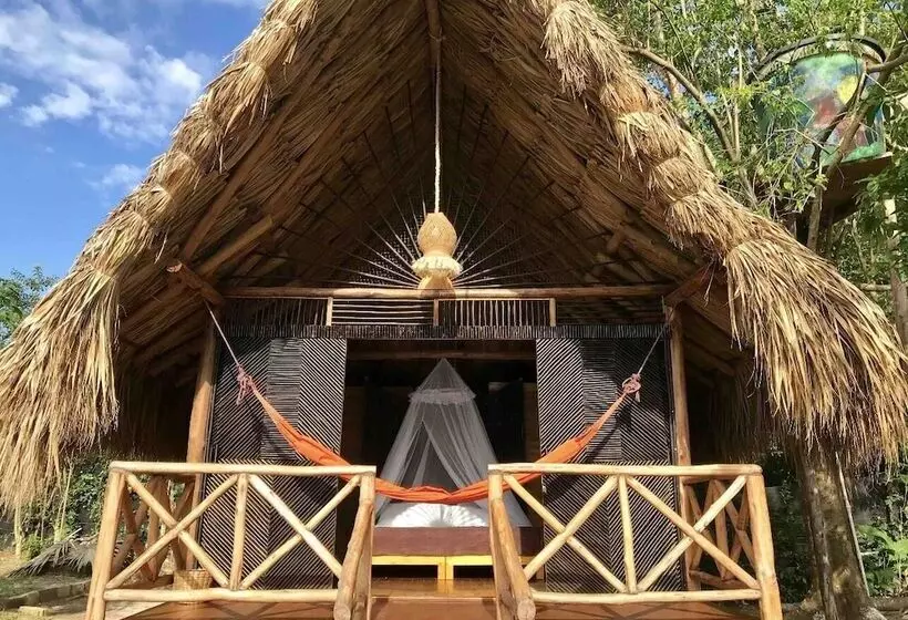 ホテル Casa Gaia Palomino
