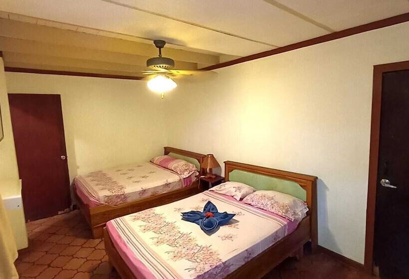 هتل The Palms At Coco Beach