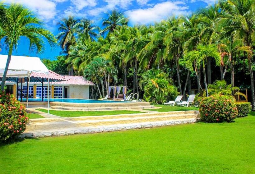 هتل The Palms At Coco Beach