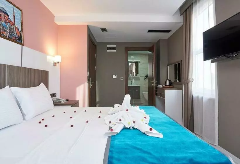Renzo Hotel   Special Category