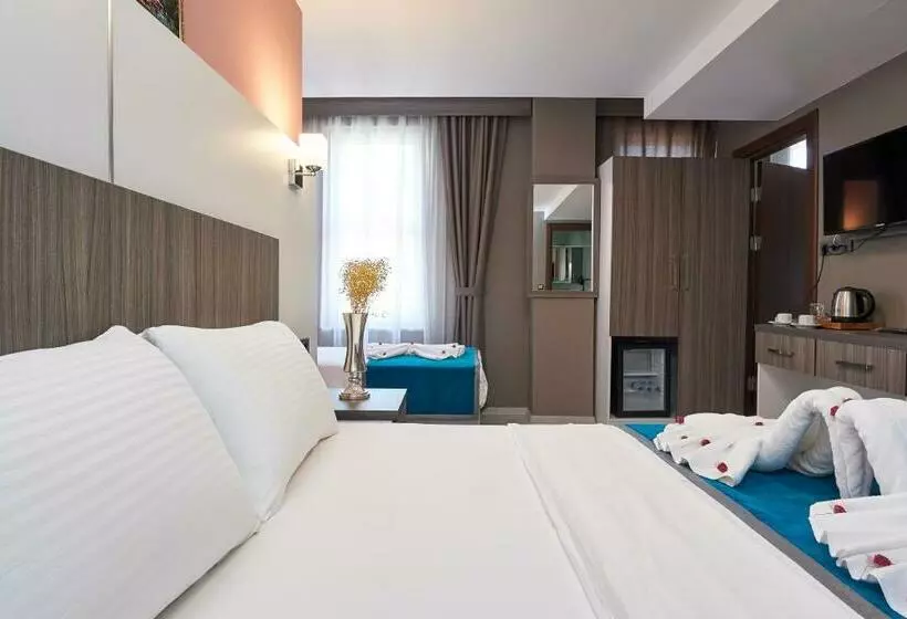 Renzo Hotel   Special Category