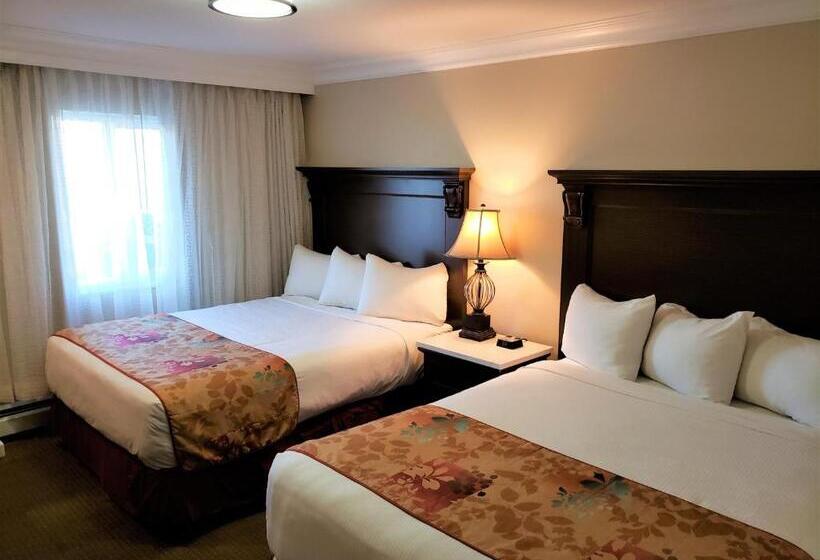 Отель Arbutus Inn