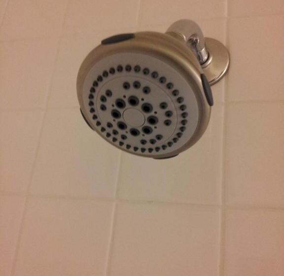 Отель Arbutus Inn