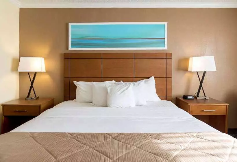 Clarion Hotel Detroit Metro Airport