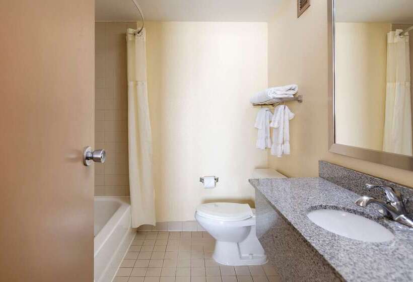 Clarion Hotel Detroit Metro Airport