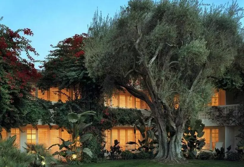 酒店 Parker Palm Springs