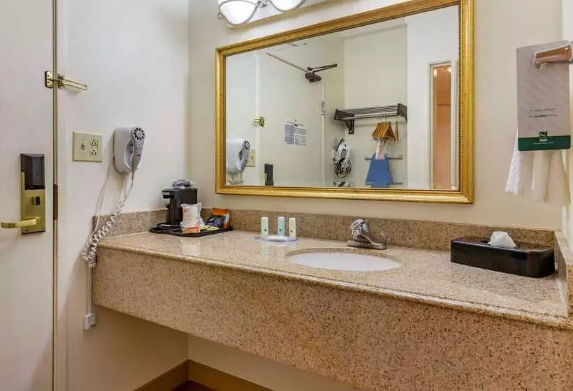Отель Quality Inn & Suites Raleigh Durham Airport