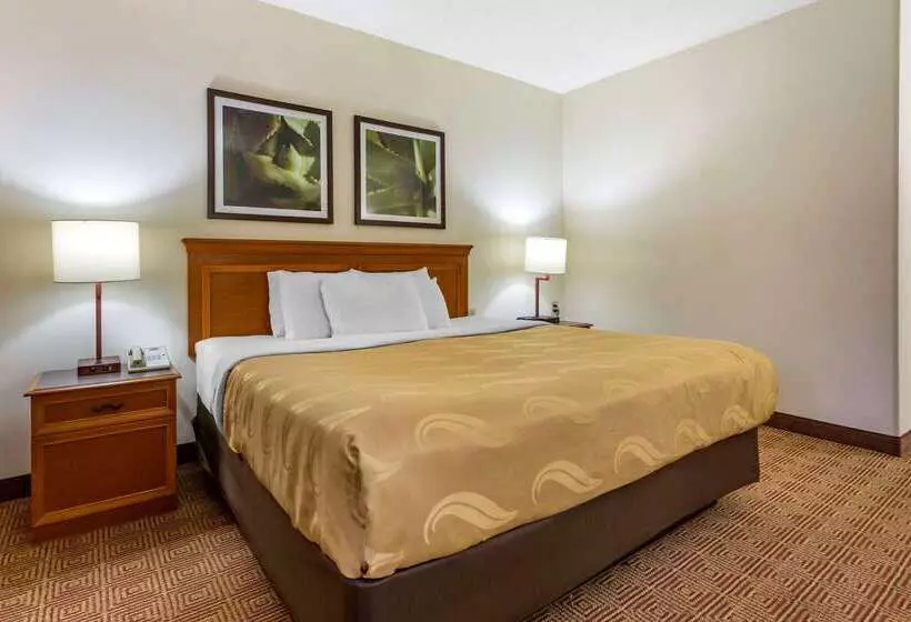 Отель Quality Inn & Suites Raleigh Durham Airport