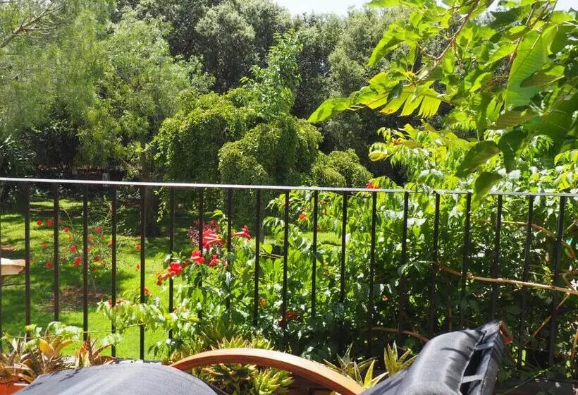 فندق ريفى Son Mercadal