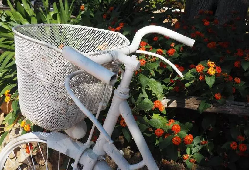 فندق ريفى Son Mercadal