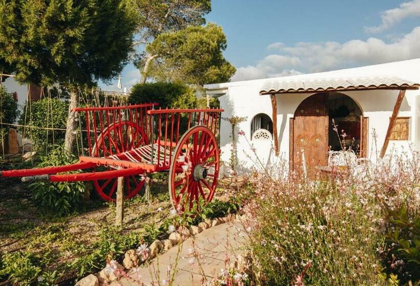 Petunia Ibiza  Adults Only