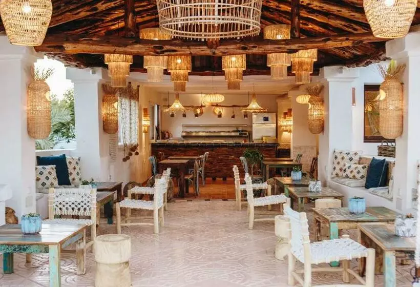 Petunia Ibiza  Adults Only