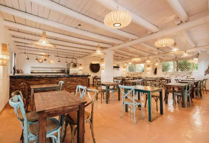 Petunia Ibiza Adults Only