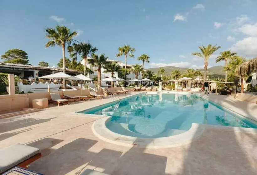 Petunia Ibiza Adults Only