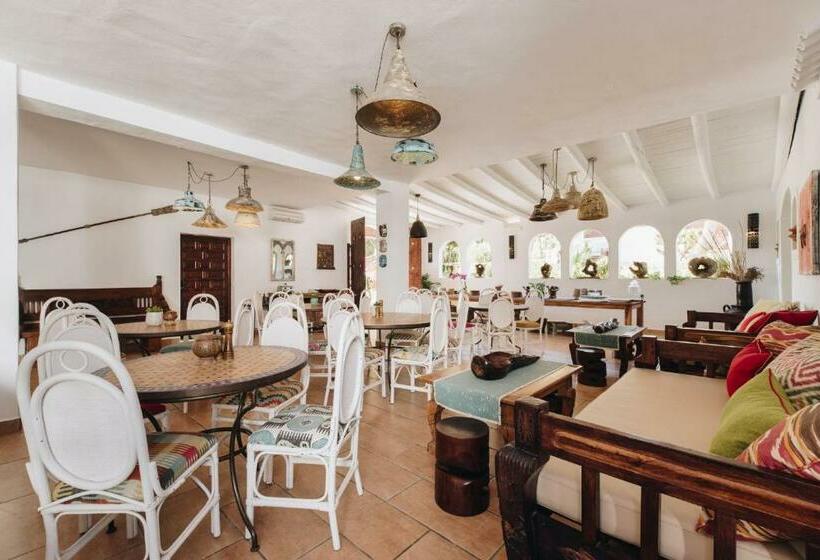 Petunia Ibiza  Adults Only