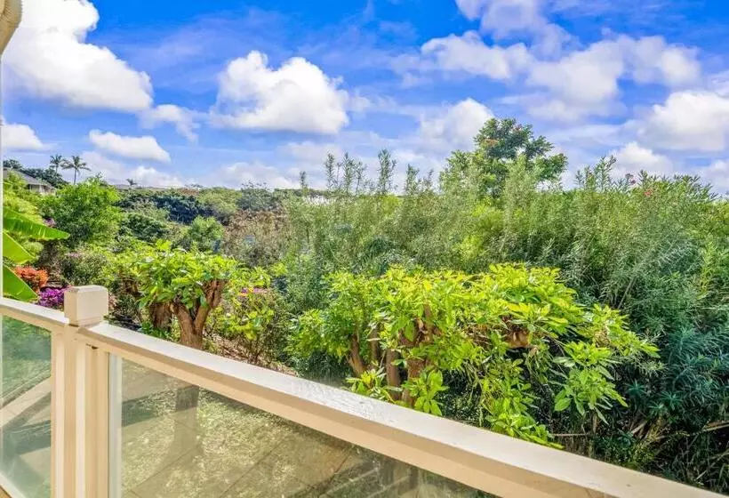 Wailea Grand Champions