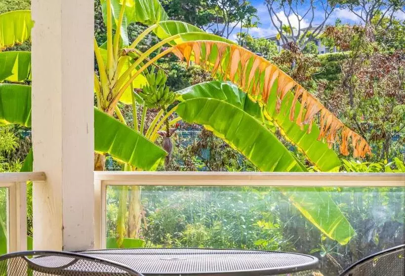 Wailea Grand Champions