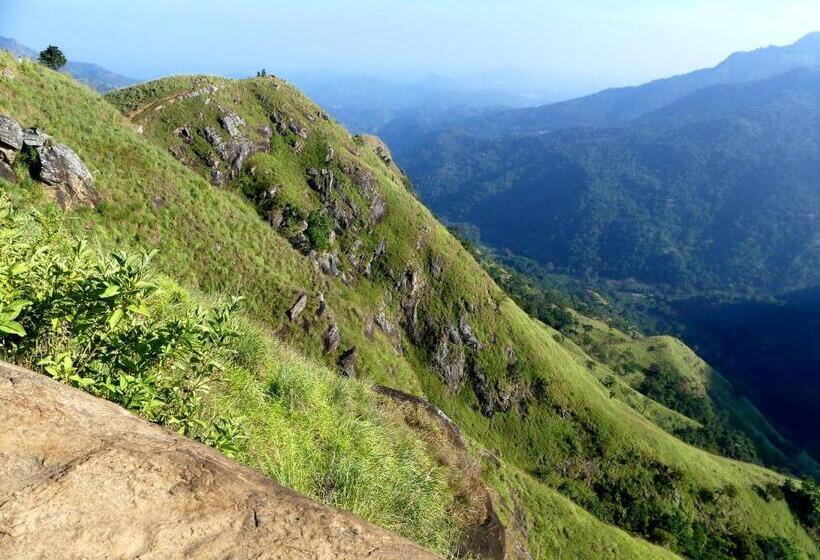 Aamiaismajoitus (B&B) Alone Cage Ella