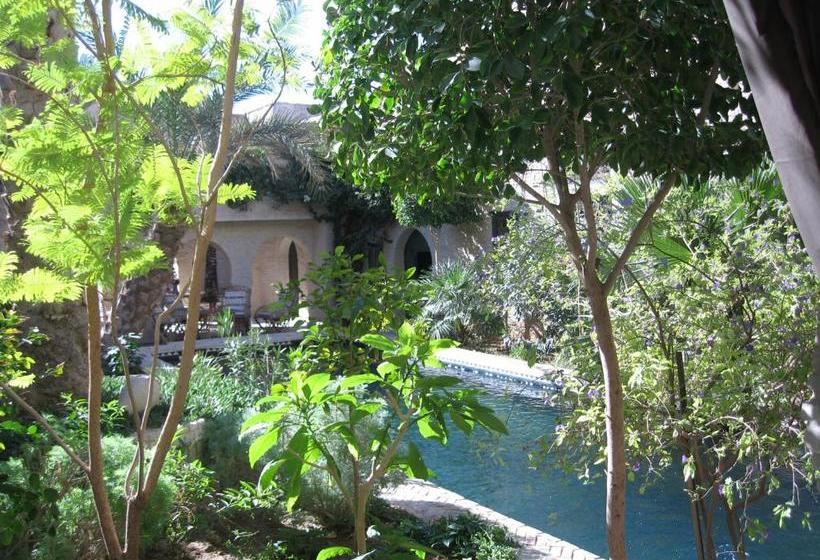 Bed and Breakfast Dar Nejma