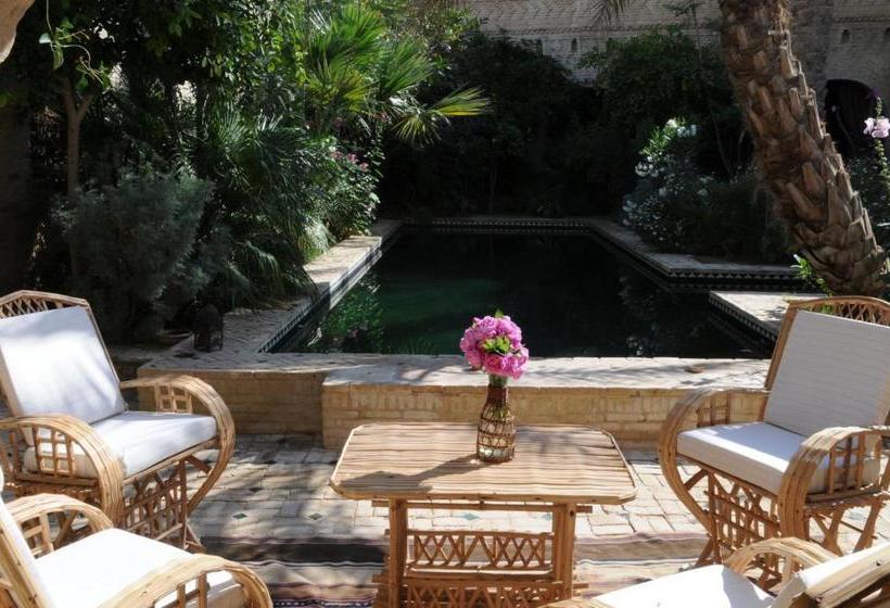 Bed and Breakfast Dar Nejma