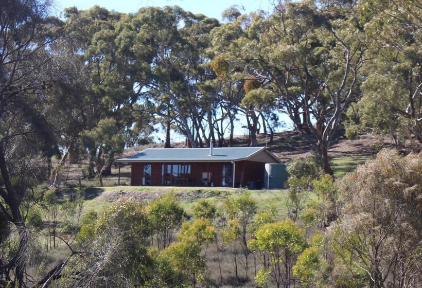 Bed and Breakfast Molly S Chase