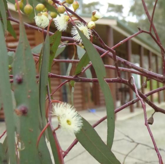 Bed and Breakfast Molly S Chase