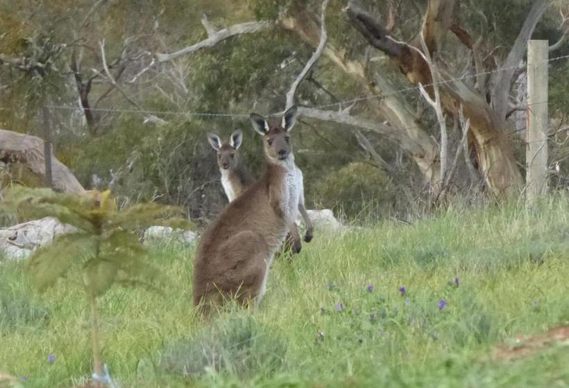 Bed and Breakfast Molly S Chase