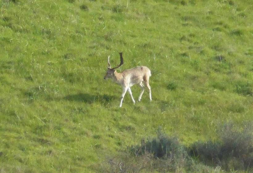 Bed and Breakfast Molly S Chase
