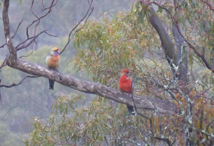 Bed and Breakfast Molly S Chase