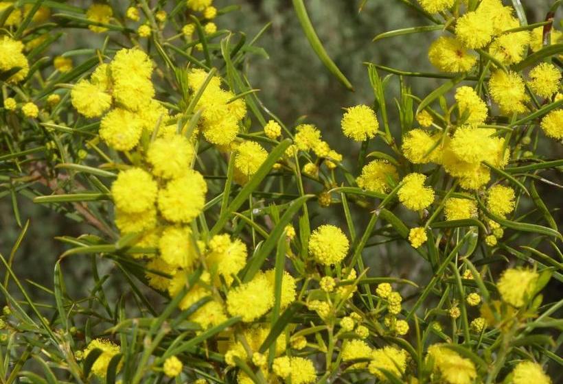 Bed and Breakfast Molly S Chase