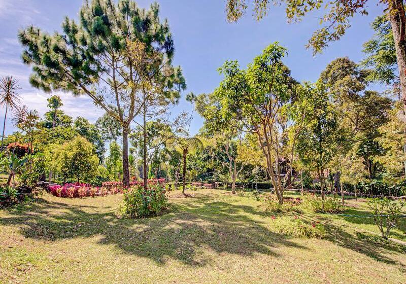 בית מלון כפרי Oyo 3208 Inn App