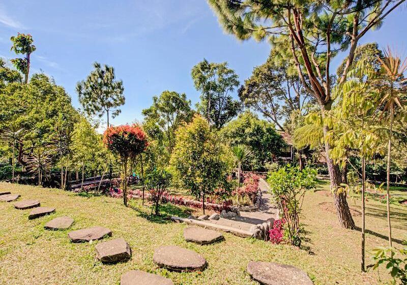 בית מלון כפרי Oyo 3208 Inn App