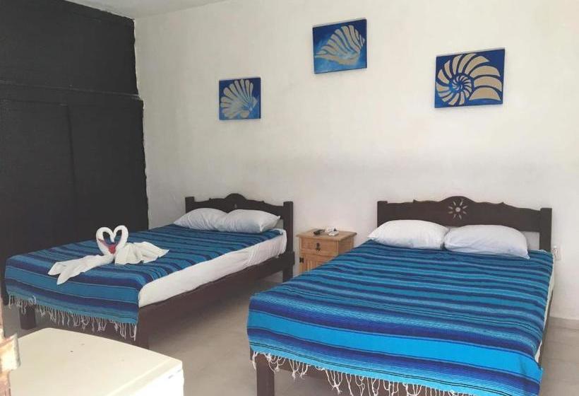 בית מלון כפרי Posada Olmeca