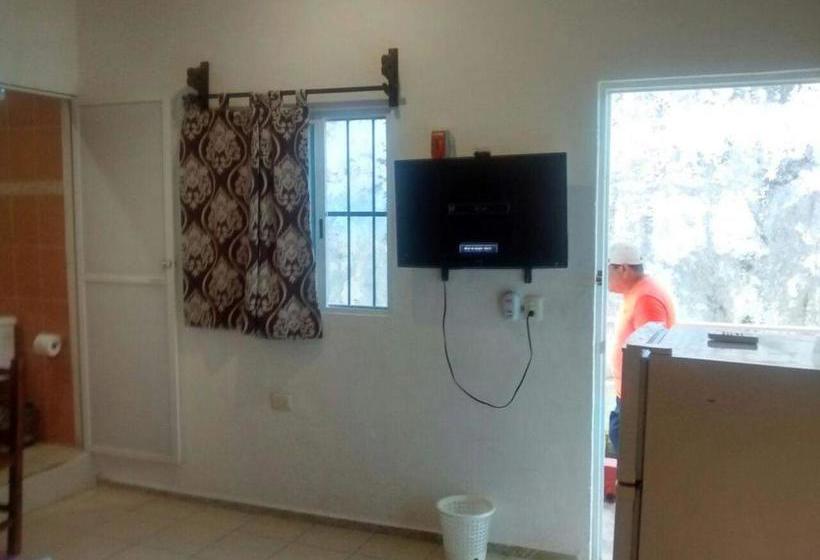 בית מלון כפרי Posada Olmeca