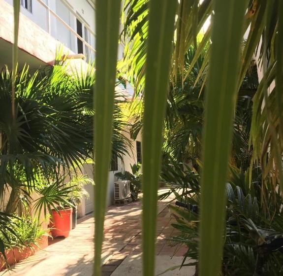 בית מלון כפרי Posada Olmeca