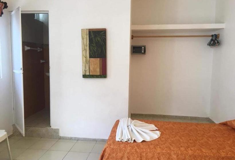 בית מלון כפרי Posada Olmeca